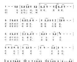 做你的新娘简谱-杨洋 金彪词 颂今曲