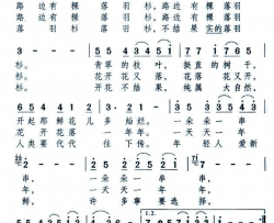 路边有棵落羽杉简谱