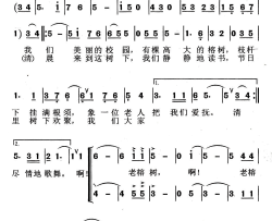 校园里的老榕树合唱简谱