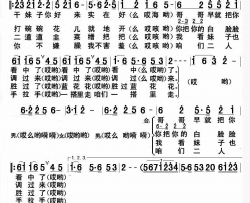把你的白脸脸调过来陕北民歌简谱-李政飞演唱-不详/陕北民歌词曲