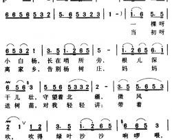 军歌金曲：小白杨简谱