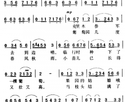 军歌金曲：吐鲁番的葡萄熟了简谱