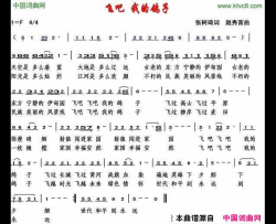 飞吧，我的鸽子简谱