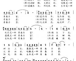 青春力量简谱-任卫新词 李云涛曲