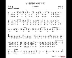 门前的桂树开了花简谱-乔军演唱