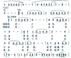 孔雀要腾飞简谱