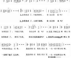 如果我老了简谱-大冰、左立词/大冰曲左立-