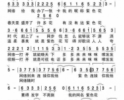 紫色花简谱