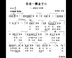 你有一颗金子心简谱-献给丛飞的歌