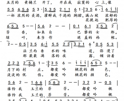 黄桷兰开了简谱