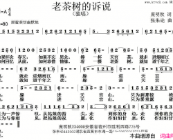 老茶树的诉说简谱