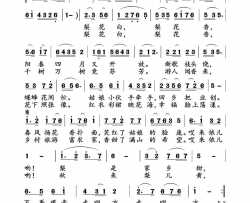 梨花白，梨花香简谱