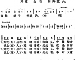 好花生在沟沟头简谱