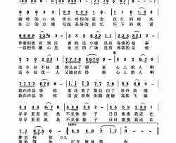 我在洋县等你简谱