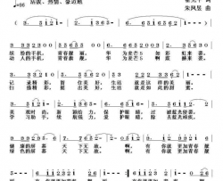 美丽华为麦芒5简谱