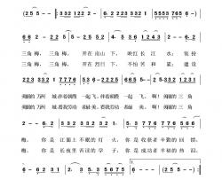 美丽的三角梅简谱-孙瑜词 赖明友曲