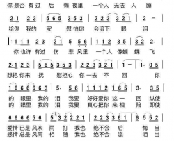 你的眼里我的泪简谱