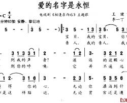 爱的名字是永恒简谱-电视剧《相逢在雨后》主题歌