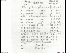 爱在月光下简谱-敏子演唱-沈献智/封之光词曲