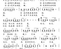 哈达情简谱-周强演唱