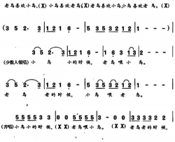 老鸟小鸟简谱