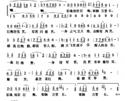 军魂宛若红梅简谱