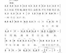 画鸡简谱