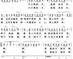 我爱故乡银杏树简谱-石启荣词/杨武麟曲