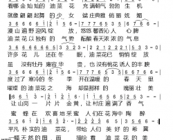 油菜花简谱-紫心雾演唱-孙秀媚/孙秀媚词曲