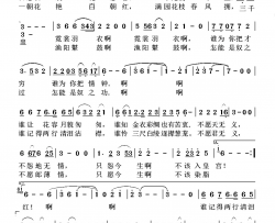 脂红怨简谱