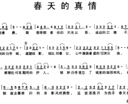 春天的真情简谱