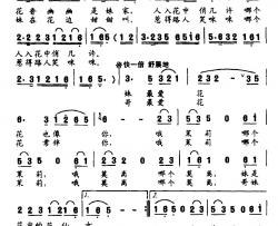 茉莉花简谱-柯兰词 张云林曲