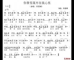你像雪莲开在我心里简谱-杨雪晴词/杨雪晴曲