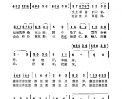 养蜂姑娘之歌简谱-邓德英演唱