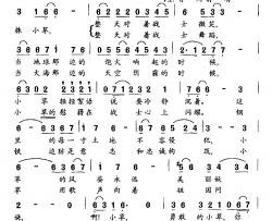 哨所前有棵小草简谱
