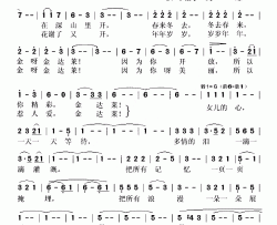 金达莱付林词曲简谱-晟瑶演唱-付林/付林词曲