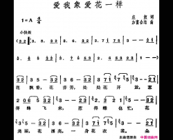邓丽君演唱金曲：爱我象爱花一样简谱