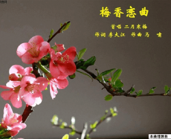 梅香恋曲简谱-二月寒梅演唱-李大江/马啸词曲