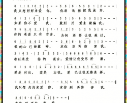 求你别再伤害我简谱