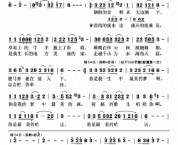 你是最美的哈达简谱-才娜旺姆演唱-辛晗/辛晗词曲
