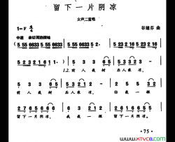 留下一片阴凉女声二重唱简谱