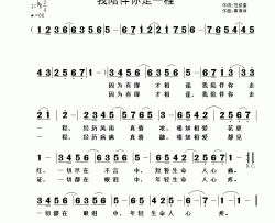 我陪伴你走一程简谱