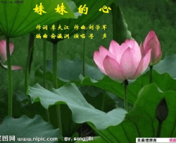 妹妹的心简谱-寻声而来演唱-李大江/刘学军词曲