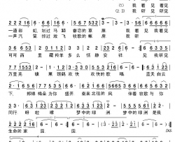 梦中的绿洲简谱