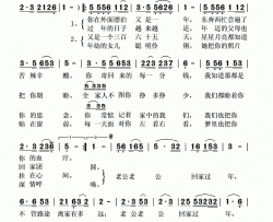 老公回家过年简谱-陈思思演唱-施咏之、抚琴/施咏之词曲