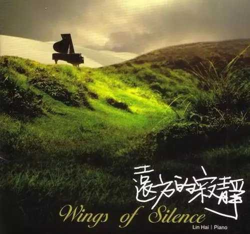 远方的寂静简谱 林海|从远方而来，寂静无声的思念5