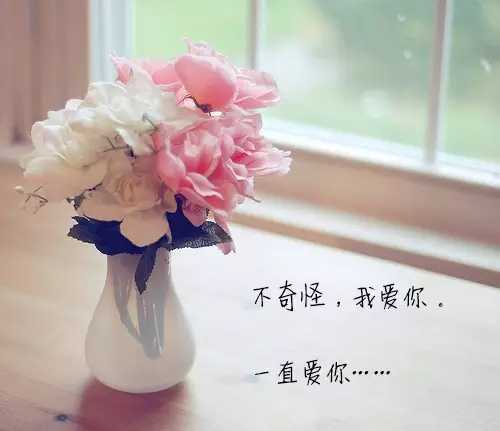 很奇怪我爱你简谱 张杰 人间有味是清欢9