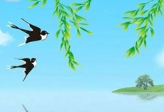 小燕子简谱-儿歌经典何以不朽