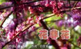 花非花简谱-廖昌永-藏着白居易怎样的深情往事6