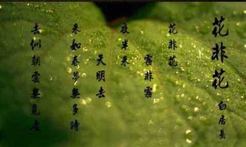 花非花简谱-廖昌永-藏着白居易怎样的深情往事4